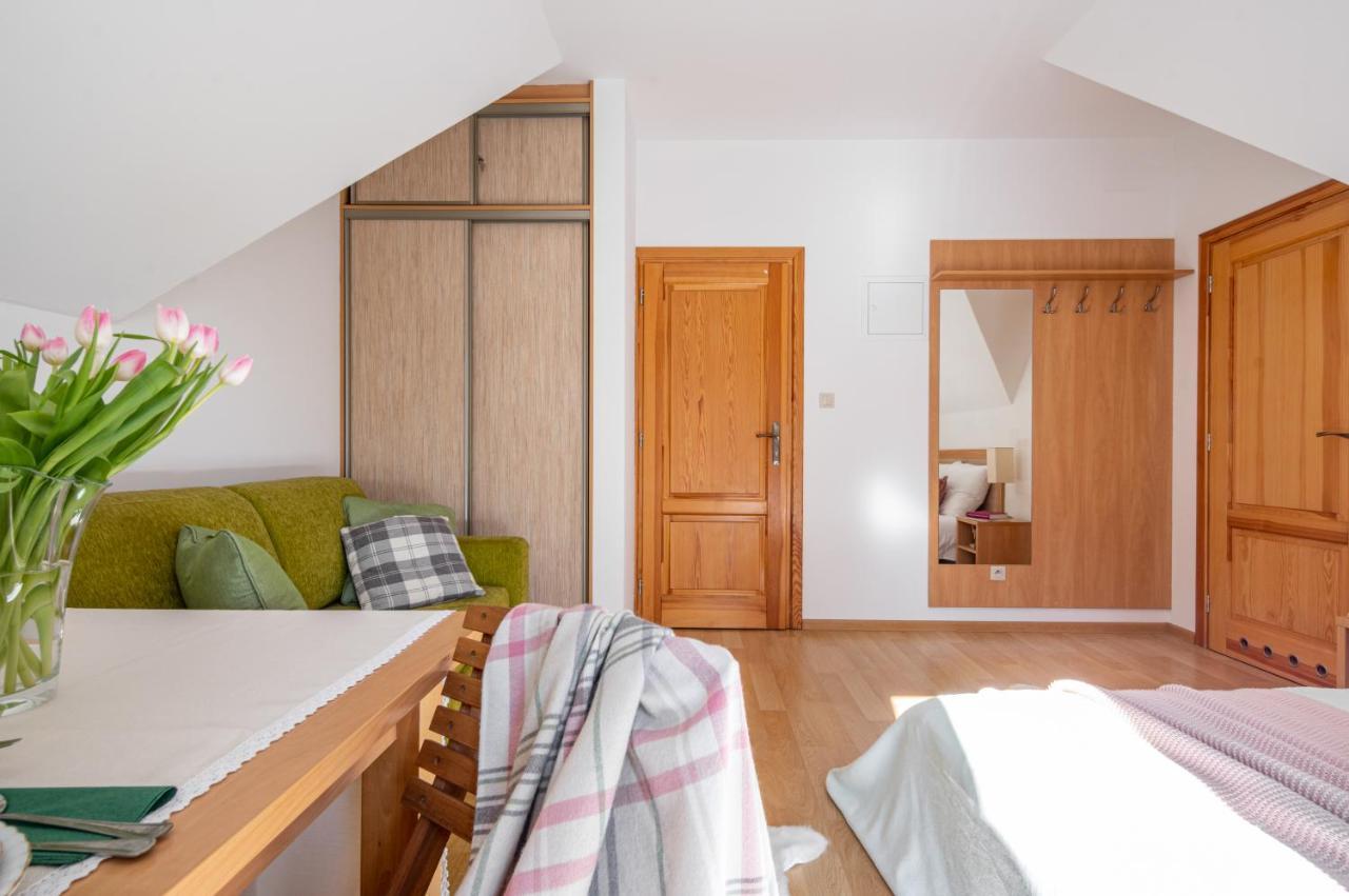 Silentium Apartman Zakopane Kültér fotó